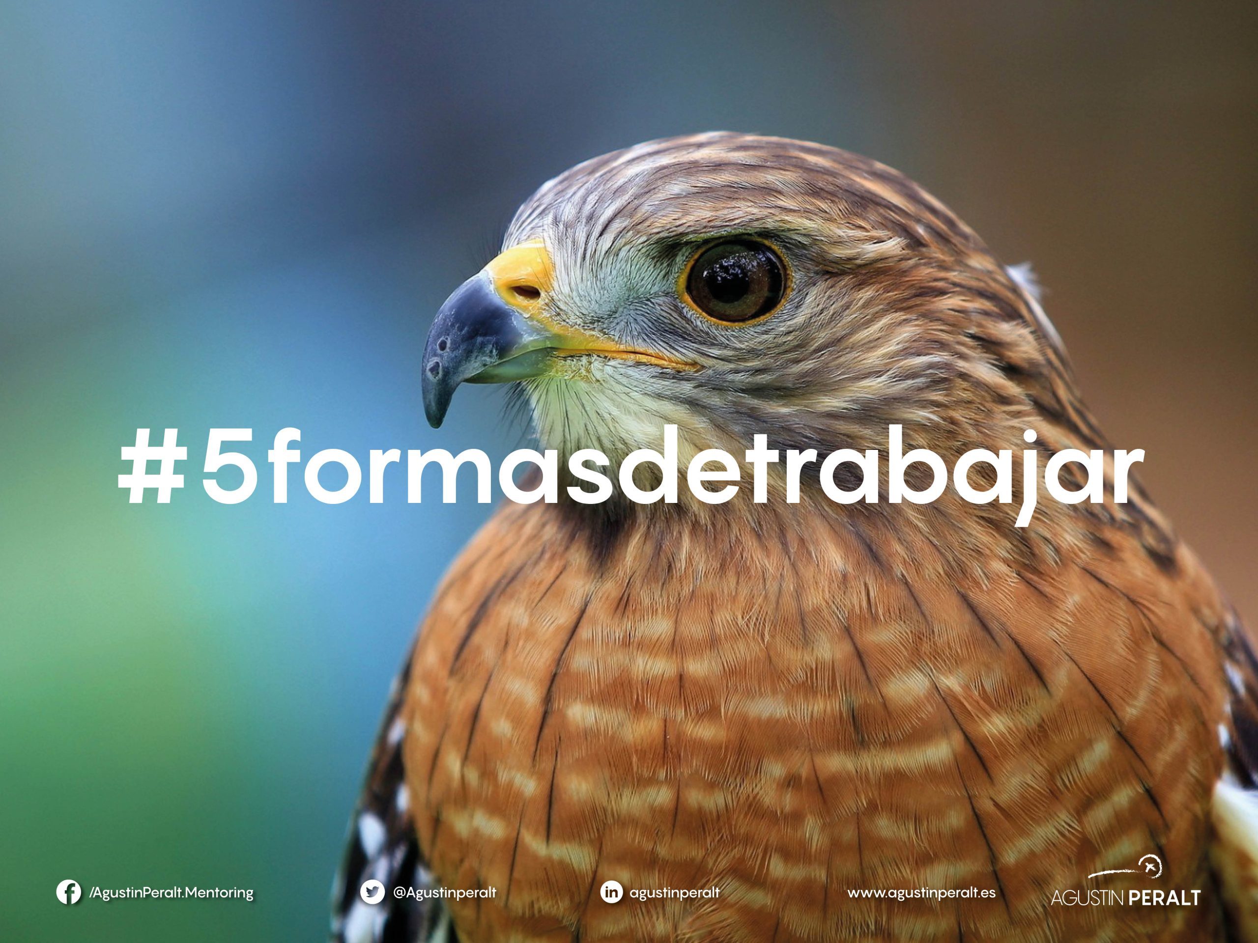 5 formas de trabajar